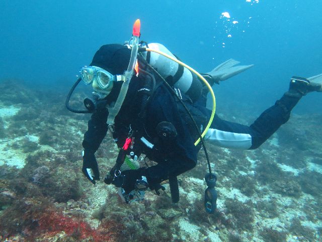 �v���C�x�[�g�_�C�r���O�@�C���[�W