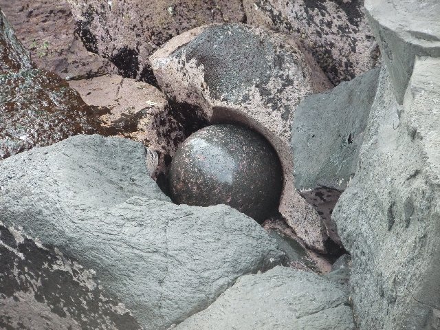 �W�I�c�A�[