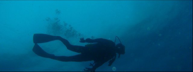 �ɓ��E�ɓ��̐����ʐ^