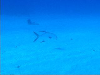 �}���R�o��