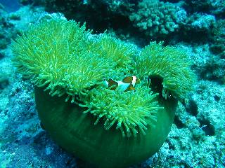 �N�}�m�~������������