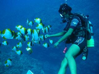 �J�X�~�`���E�`���E�E�I