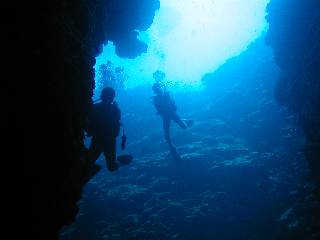 �n�`���ʔ���