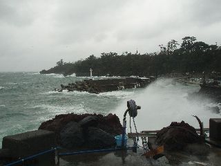 �x�˂͑�r��ł����B�@