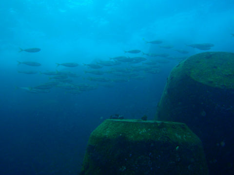 �ɓ������ʐ^�@�N���b�N�ő傫���Ȃ�܂�