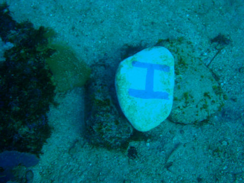 �ɓ������ʐ^�@�N���b�N�ő傫���Ȃ�܂�