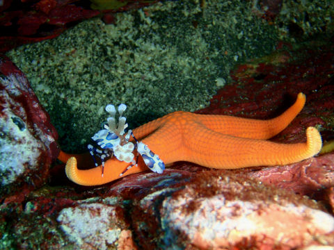 �ɓ������ʐ^�@�N���b�N�ő傫���Ȃ�܂�