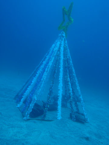 �ɓ������ʐ^�@�N���b�N�ő傫���Ȃ�܂�