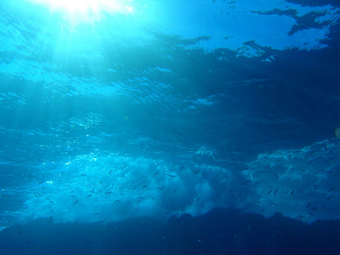 �ɓ������ʐ^�@�N���b�N�ő傫���Ȃ�܂�