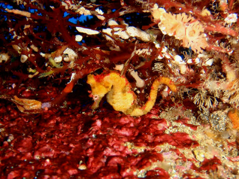 �ɓ������ʐ^�@�N���b�N�ő傫���Ȃ�܂�