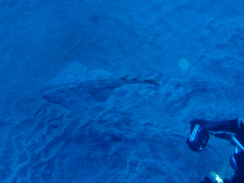 �ɓ������ʐ^�@�N���b�N�ő傫���Ȃ�܂�