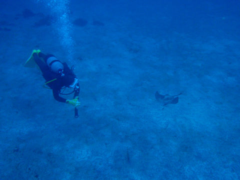 �ɓ������ʐ^�@�N���b�N�ő傫���Ȃ�܂�