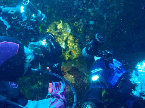 �ɓ������ʐ^�@�N���b�N�ő傫���Ȃ�܂�