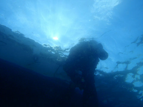 �ɓ������ʐ^�@�N���b�N�ő傫���Ȃ�܂�