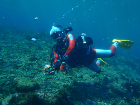 �ɓ������ʐ^�@�N���b�N�ő傫���Ȃ�܂�