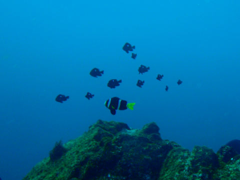 �ɓ������ʐ^�@�N���b�N�ő傫���Ȃ�܂�