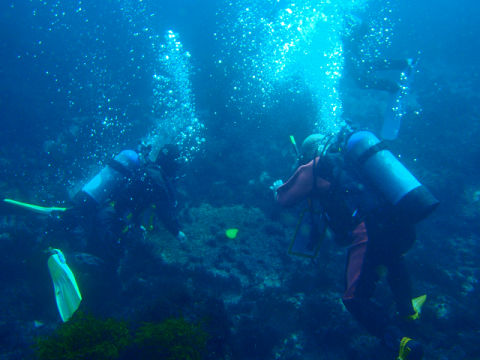 �ɓ������ʐ^�@�N���b�N�ő傫���Ȃ�܂�