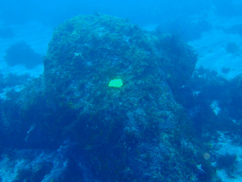 �ɓ������ʐ^�@�N���b�N�ő傫���Ȃ�܂�