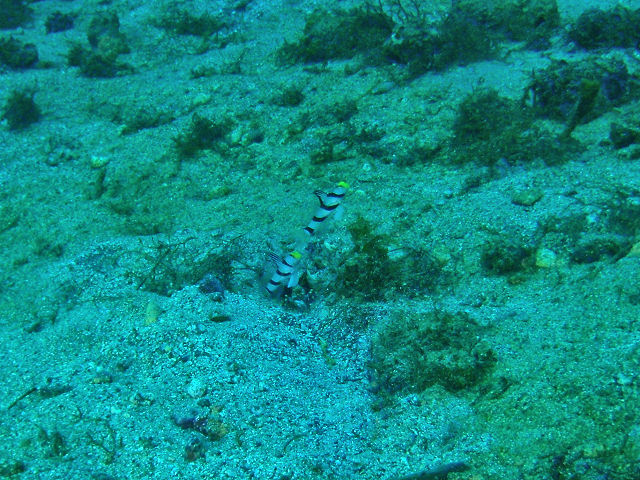 �ɓ������ʐ^�@