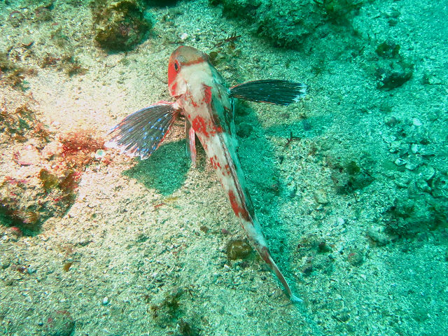 �ɓ������ʐ^�@