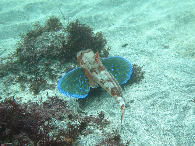 �ɓ������ʐ^�@