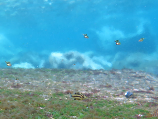 �ɓ������ʐ^�@