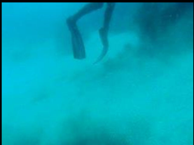 �ɓ������ʐ^�@