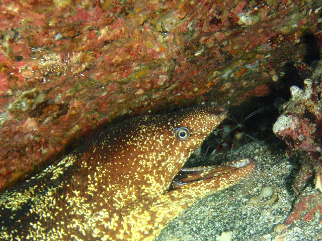 �ɓ������ʐ^�@