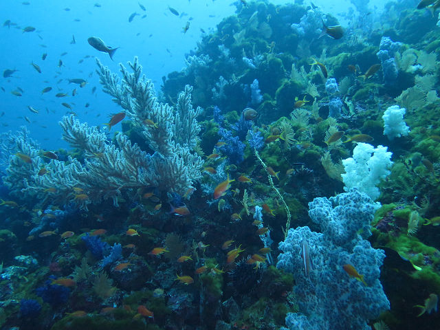 �ɓ������ʐ^�@