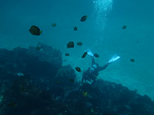 �ɓ������ʐ^�@