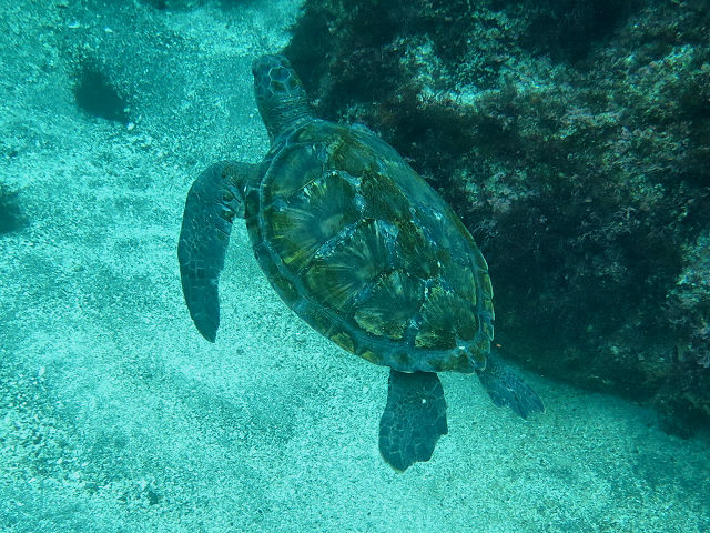 �ɓ������ʐ^�@