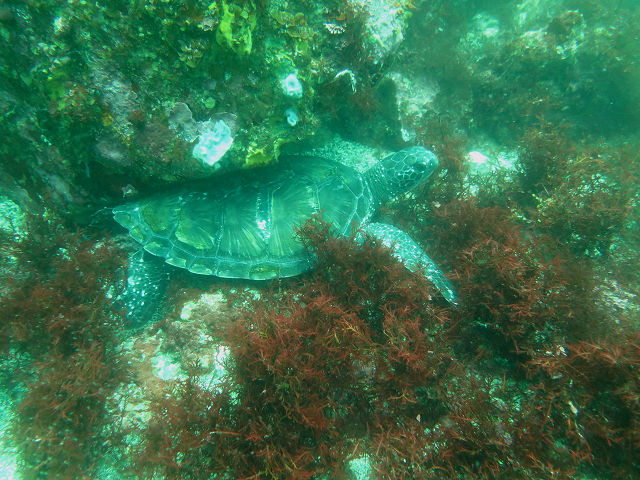 �ɓ������ʐ^�@