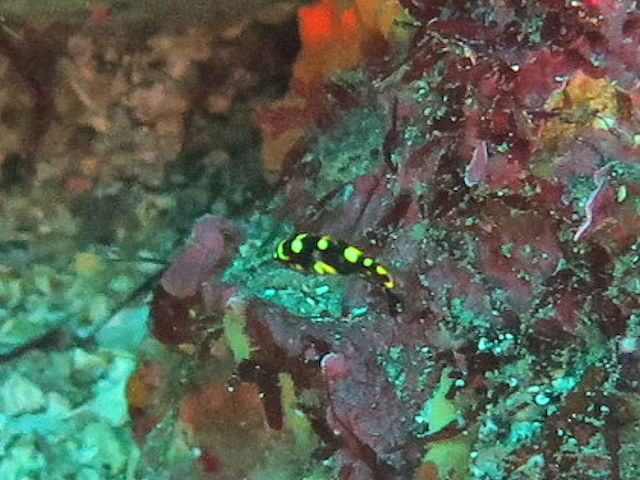 �ɓ������ʐ^�@