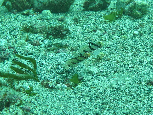 �ɓ������ʐ^�@