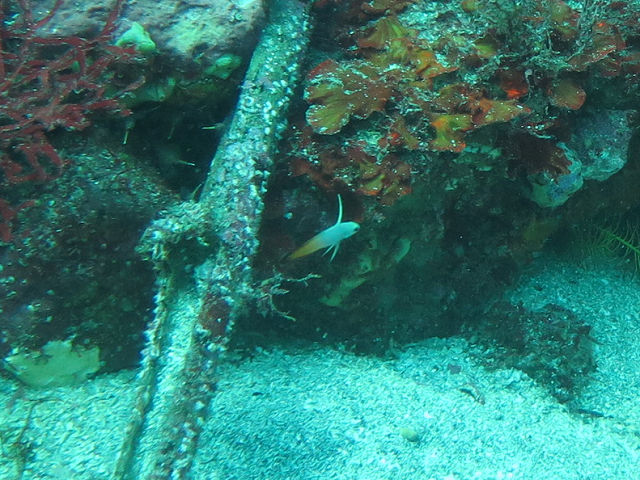 �ɓ������ʐ^�@