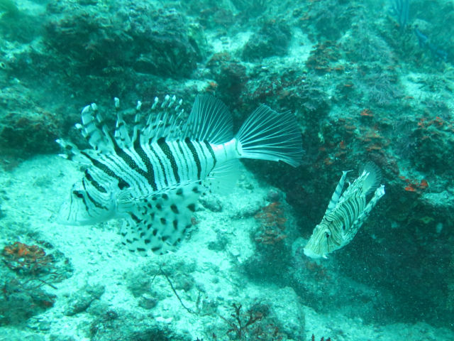 �ɓ������ʐ^�@