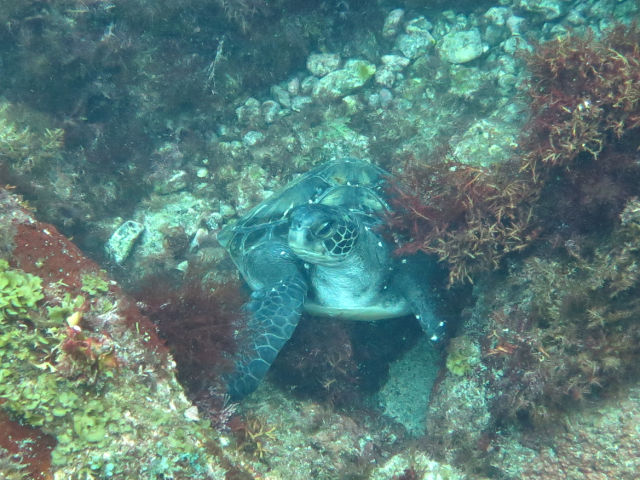 �ɓ������ʐ^�@