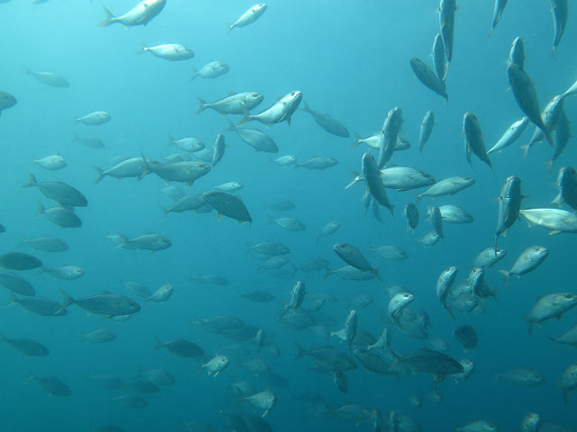 �ɓ������ʐ^�@