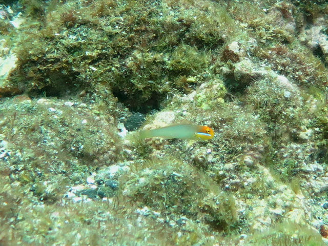 �ɓ������ʐ^�@