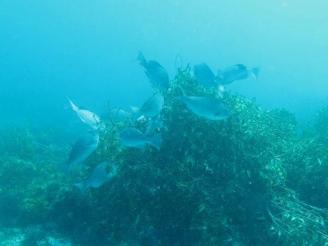 �ɓ������ʐ^