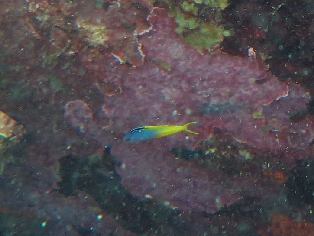 �ɓ������ʐ^