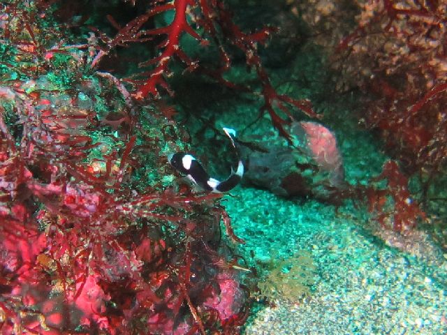 �ɓ������ʐ^