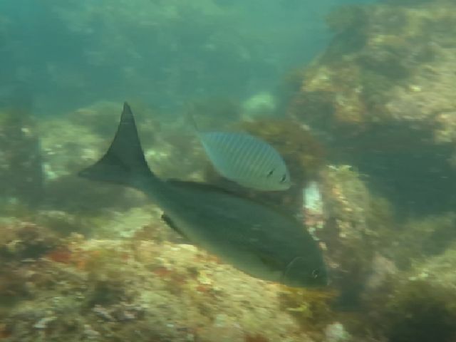 �ɓ������ʐ^