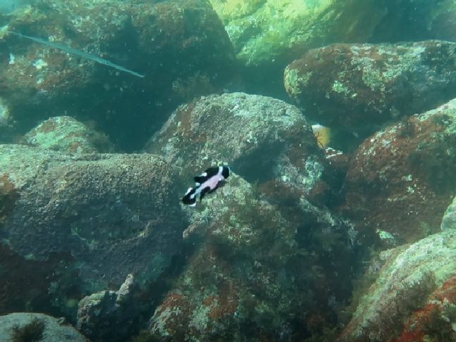 �ɓ������ʐ^