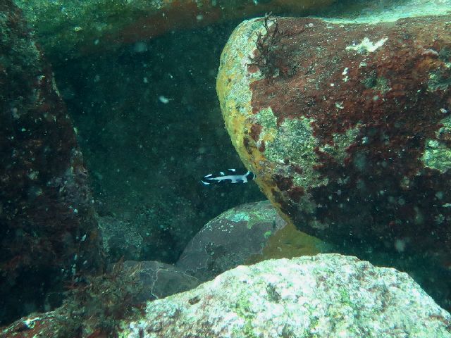 �ɓ������ʐ^