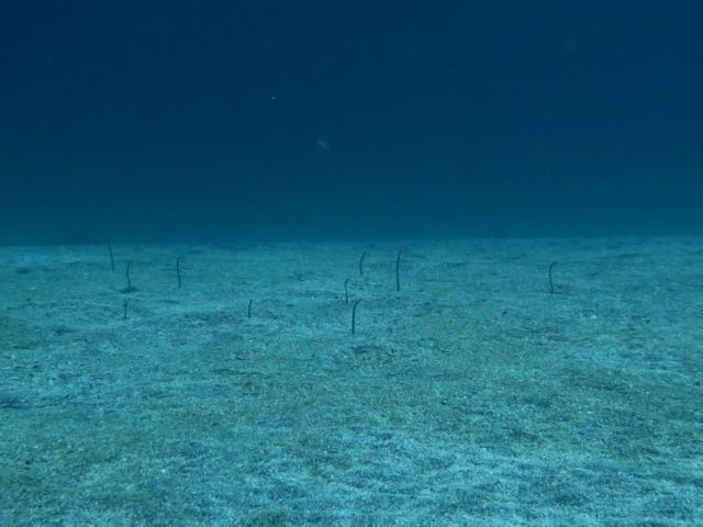 �ɓ������ʐ^