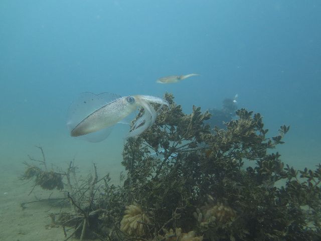 �ɓ������ʐ^