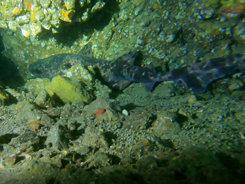 �ɓ��C�m����