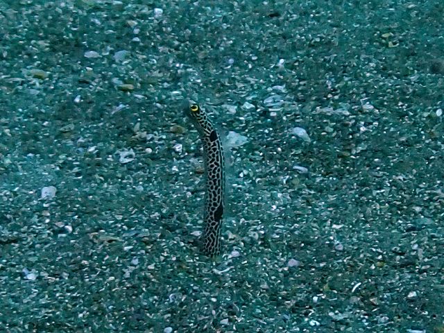 �ɓ��C�m����