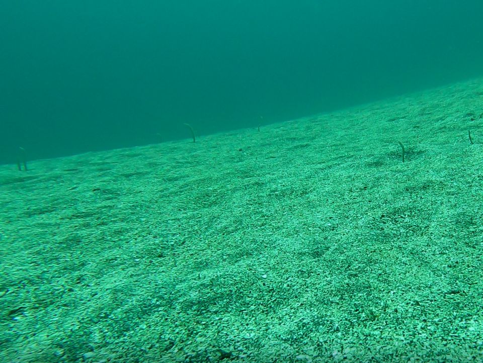 �ɓ��C�m����